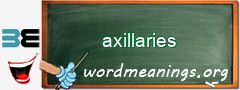 WordMeaning blackboard for axillaries